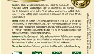 Bildvorschau