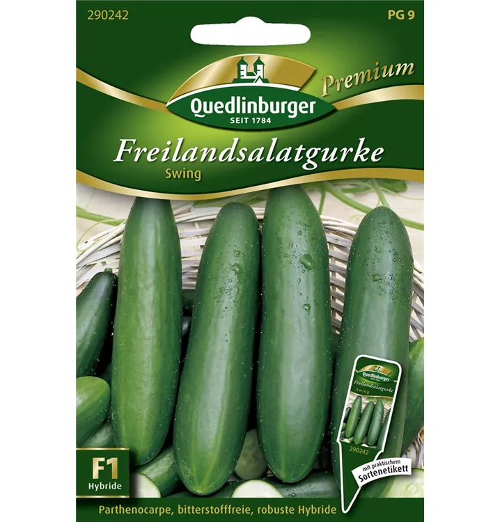 Cucumis sativus 'Swing'