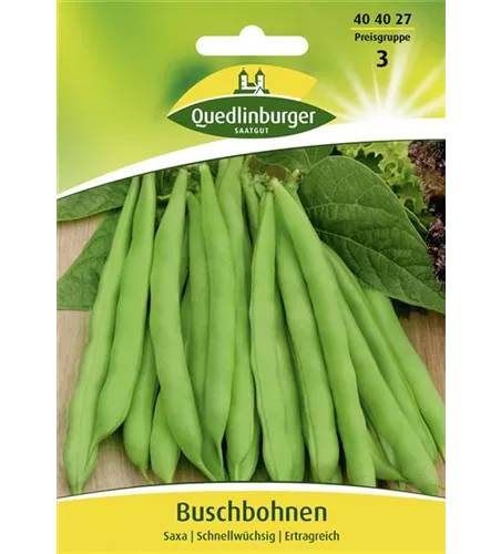 Buschbohnensamen 'Saxa'