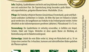 Bildvorschau