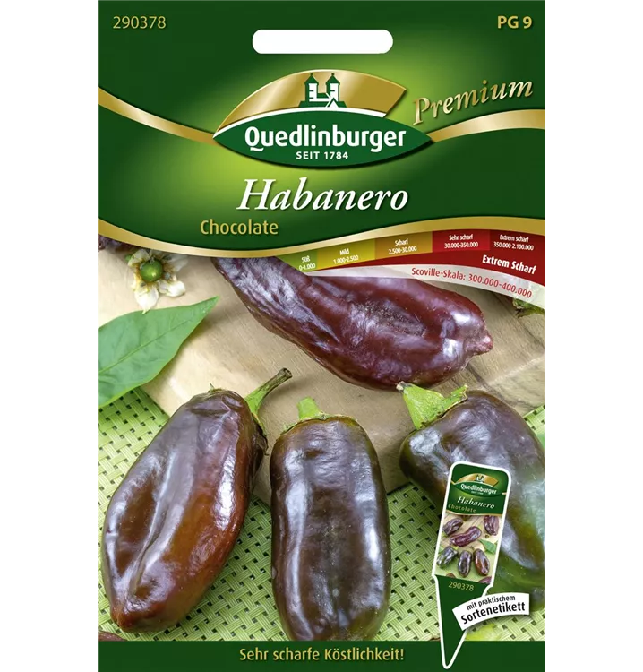 Capsicum chinense 'Chocolate'