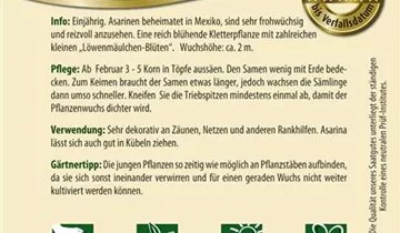 Bildvorschau