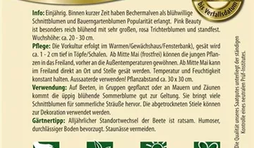 Bildvorschau