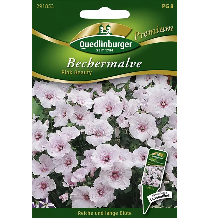 Lavatera trimestris 'Pink Beauty'
