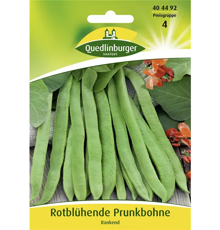 Phaseolus coccineus 'Rotblühende'