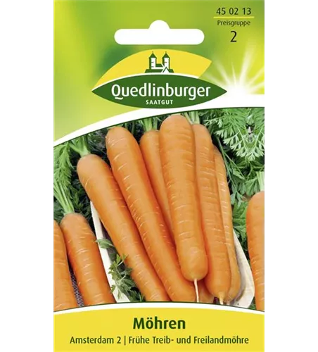 Möhrensamen 'Amsterdam 2'