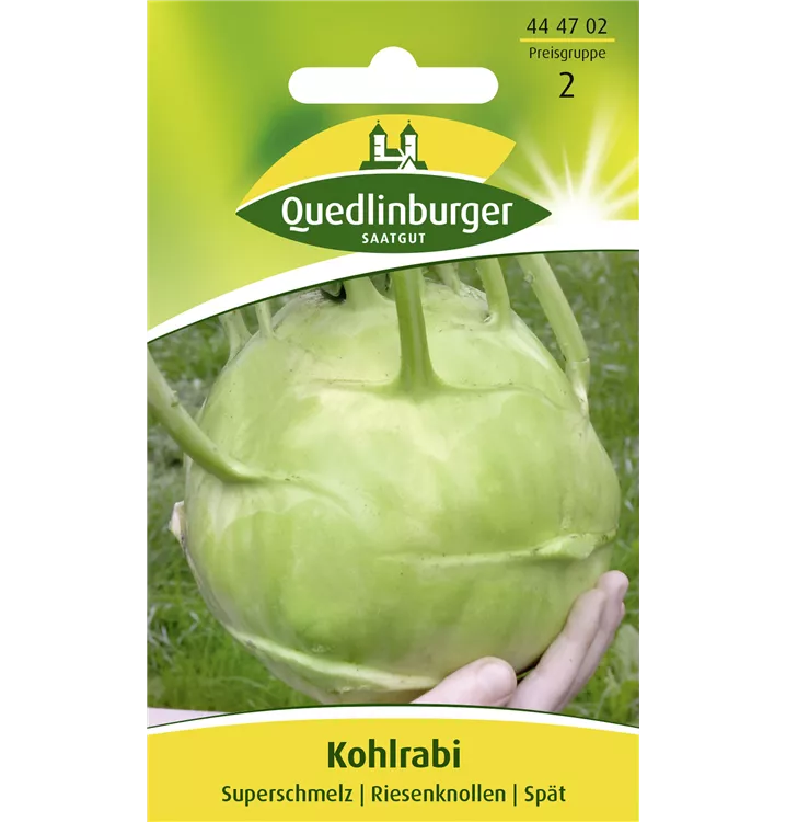 Brassica oleracea var. gongylodes 'Superschmelz'
