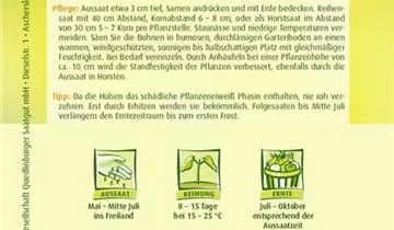 Bildvorschau