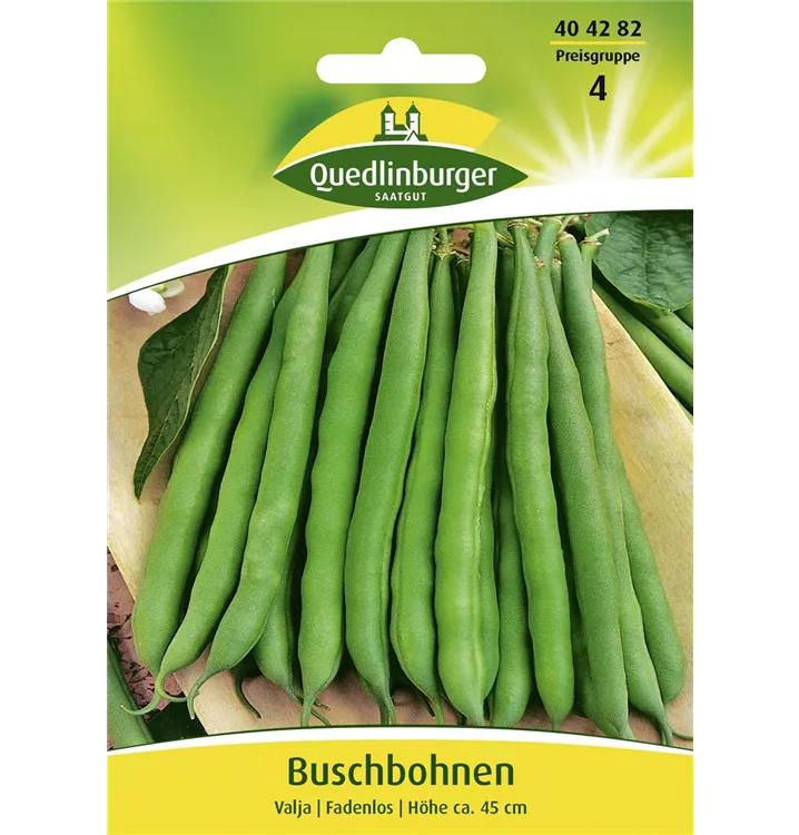 Phaseolus vulgaris var. nanus 'Valja'