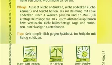 Bildvorschau