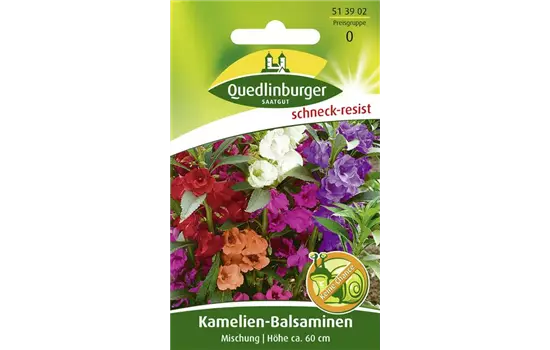 Garten-Balsamine-Samen