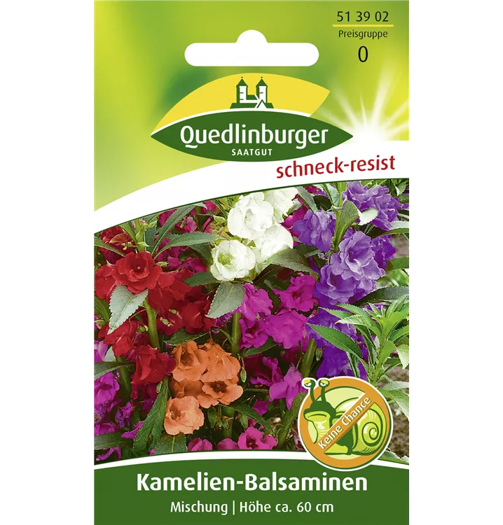 Impatiens balsamina