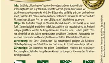 Bildvorschau