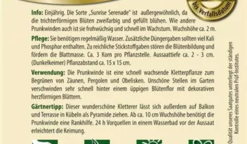 Bildvorschau