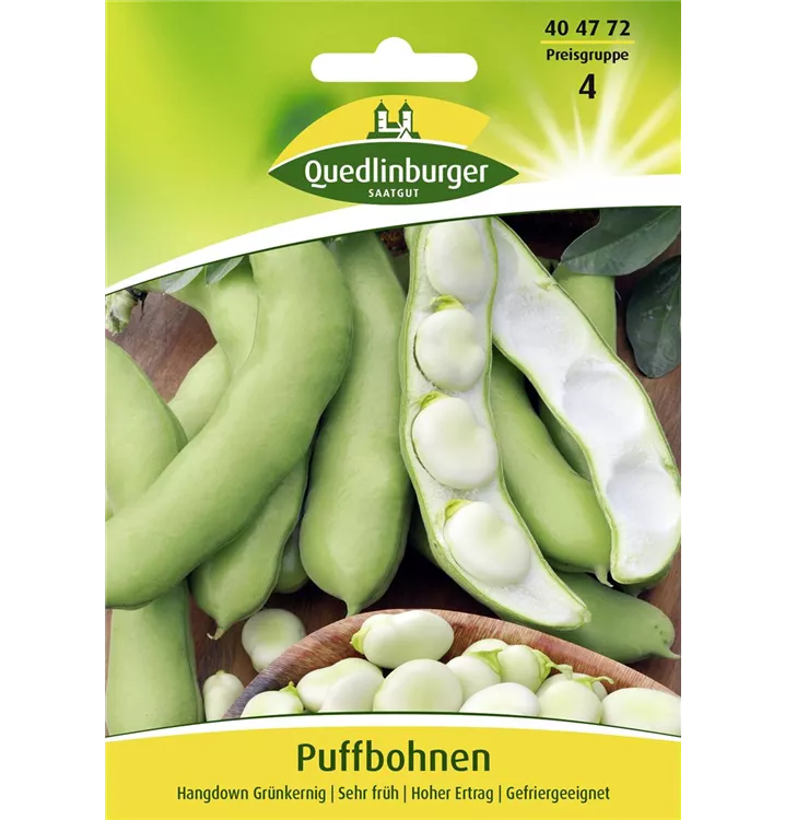 Vicia faba 'Hangdown Grünkernig'