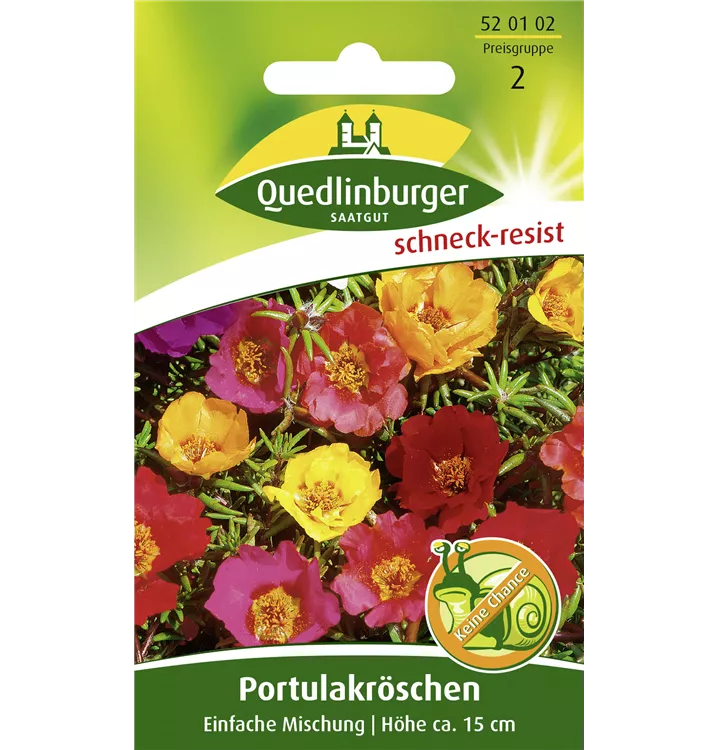 Portulaca grandiflora