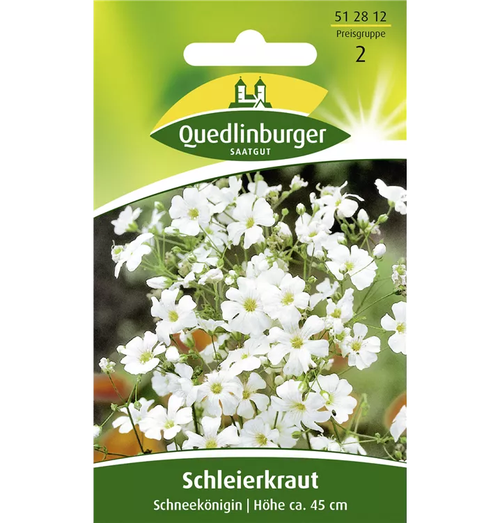 Gypsophila elegans 'Schneekönigin'