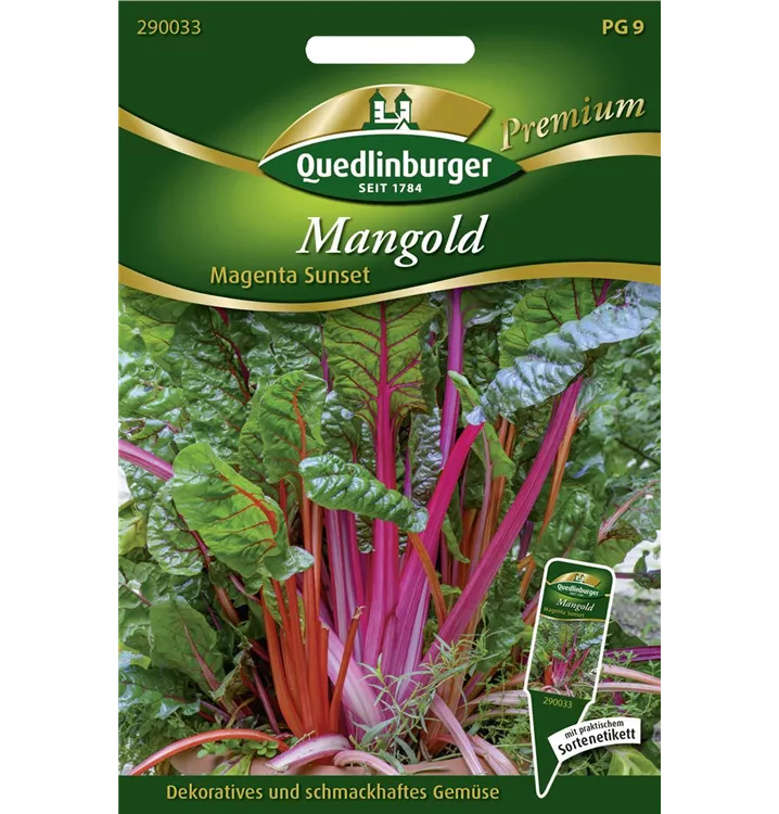 Beta vulgaris var. cicla 'Magenta Sunset'