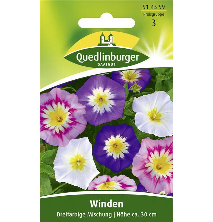 Convolvulus tricolor 'Dreifarbige Mischung'