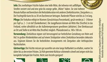 Bildvorschau