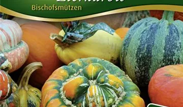Bildvorschau