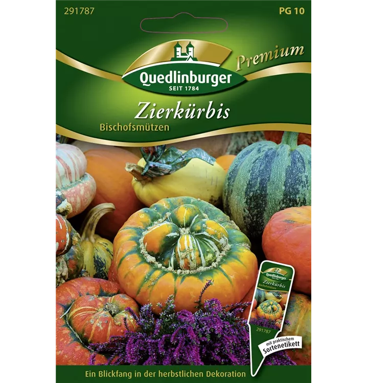 Cucurbita maxima 'Bischofsmütze'