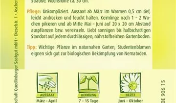 Bildvorschau