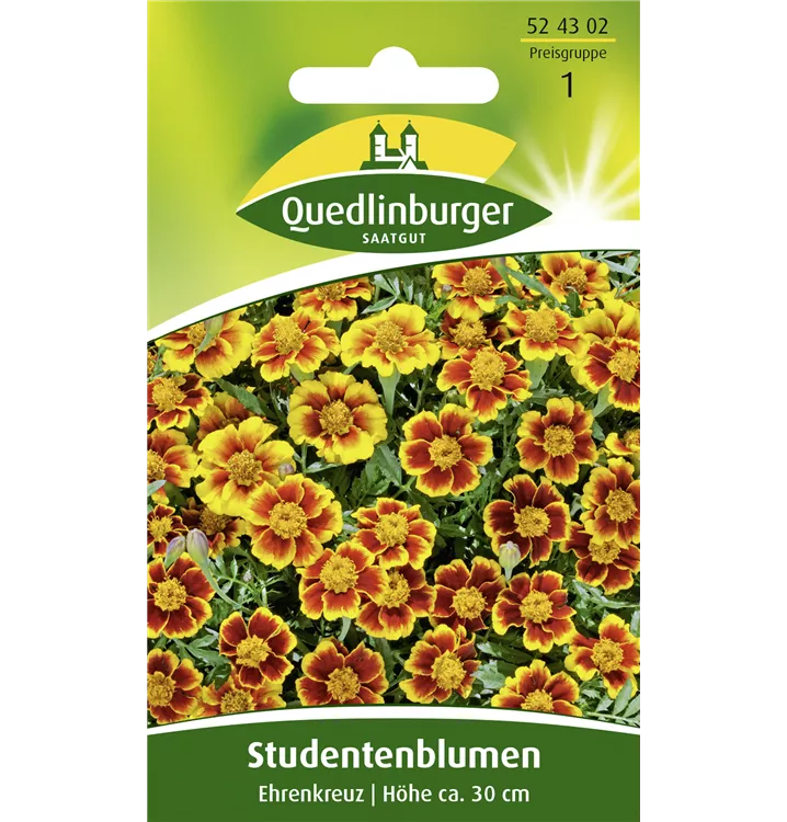 Tagetes patula 'Ehrenkreuz'