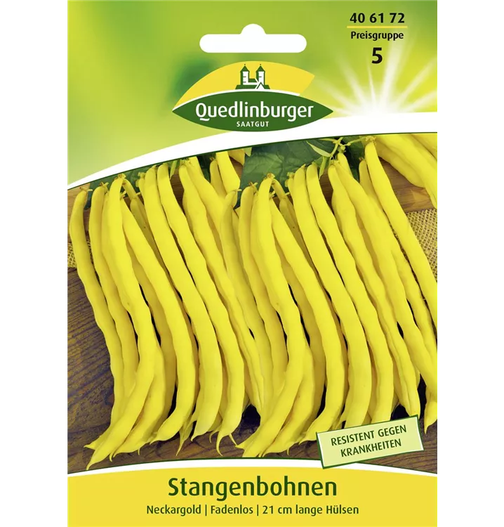 Phaseolus vulgaris var. vulgaris 'Neckargold'