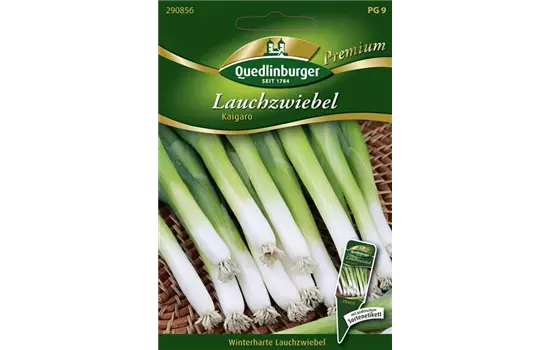 Lauchzwiebelsamen 'Kaigaro'