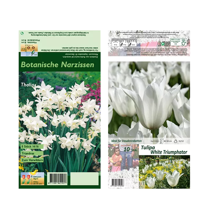 Blumenzwiebel Set 'Colorful White'