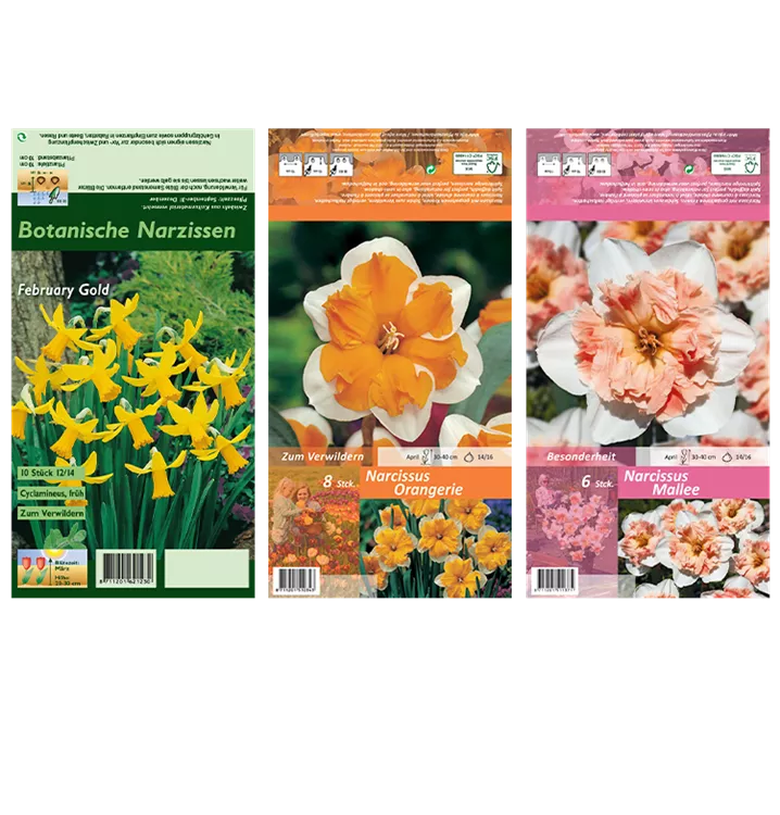 Blumenzwiebel Set 'Diversity'
