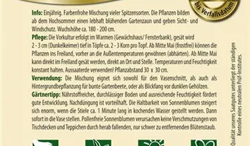 Bildvorschau