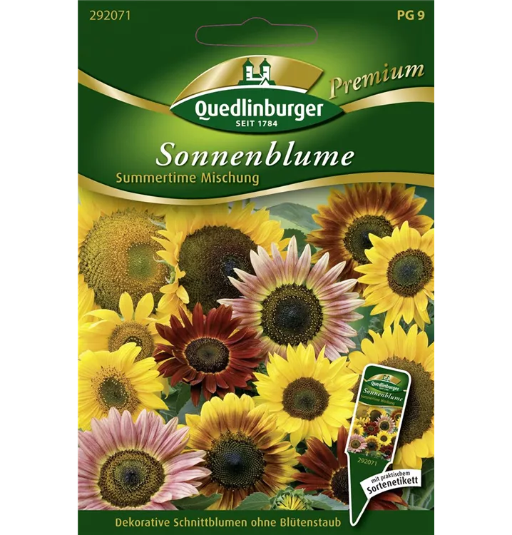 Helianthus annuus 'Summertime Mix'