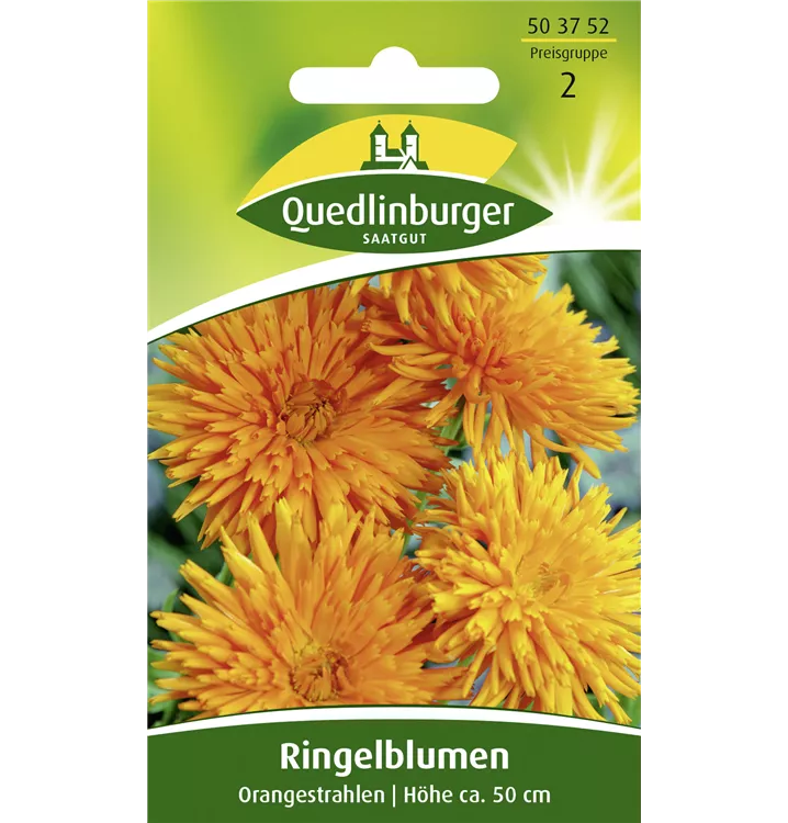 Calendula officinalis 'Orangestrahlen'