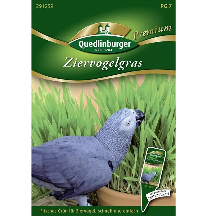Ziervogelgras