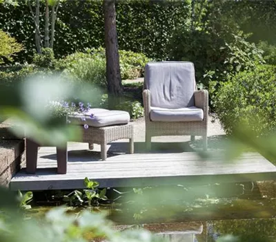Die grüne Oase: die Terrasse in einen Garten verwandeln
