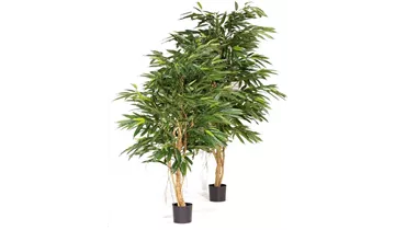 1A Garten Ammer