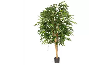 1A Garten Ammer