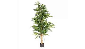 1A Garten Ammer
