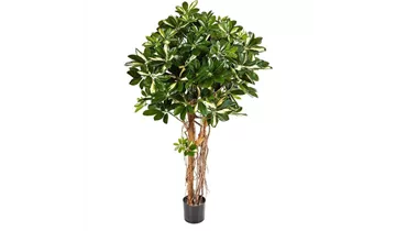 1A Garten Ammer