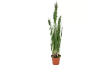 1A Garten Ammer