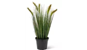 1A Garten Ammer