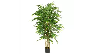 1A Garten Ammer