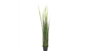 1A Garten Ammer
