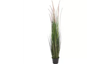 1A Garten Ammer