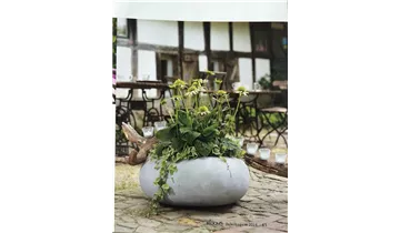 1A Garten Ammer