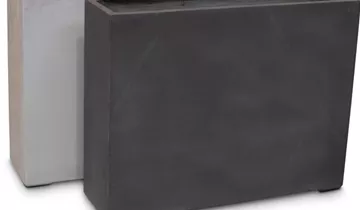Bildvorschau