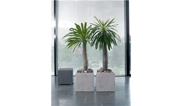 1A Garten Ammer