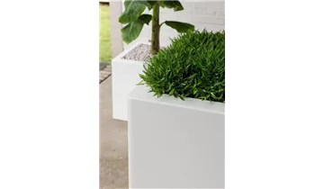 1A Garten Ammer